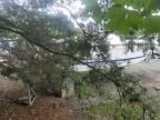 1997 Wells Cargo 1997 Wellcraft 240 Coastal-Boats