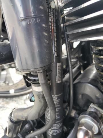 2024 Harley-Davidson Flhx