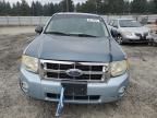 2008 Ford Escape HEV
