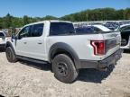 2017 Ford F150 Raptor