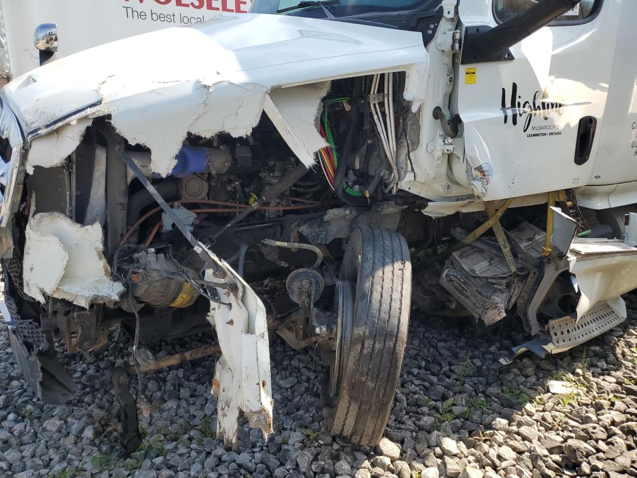 2020 Freigliner Cascadia 126