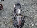 2024 Kawasaki ZX400 P