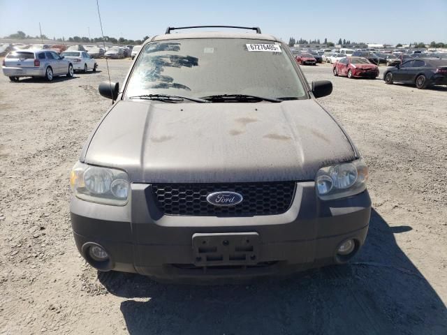 2005 Ford Escape XLT