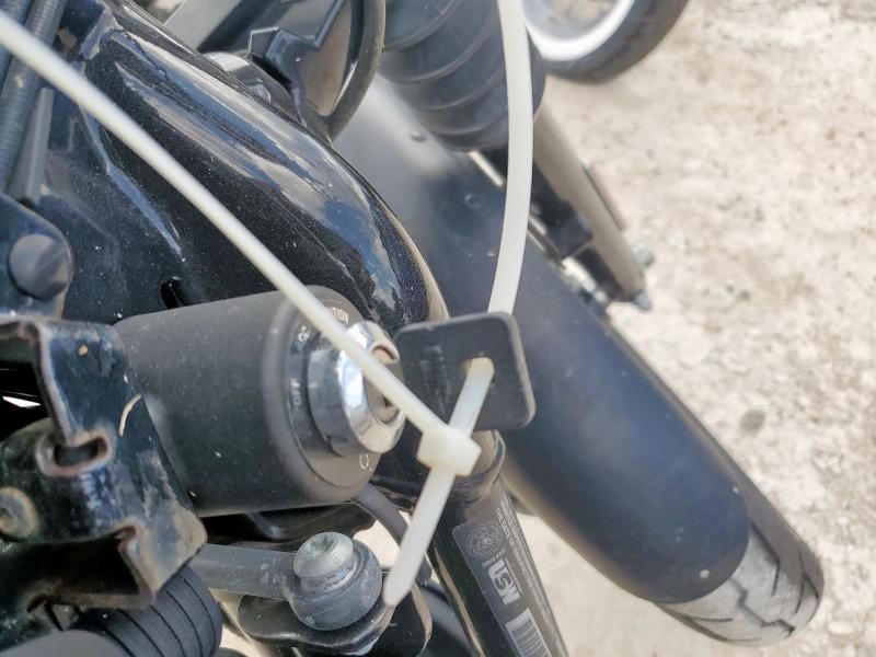 2020 Harley-Davidson XL883 N