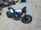 2020 Ducati Scrambler Desert Sled