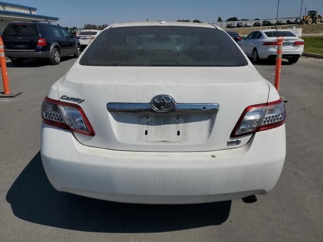 2011 Toyota Camry Hybrid
