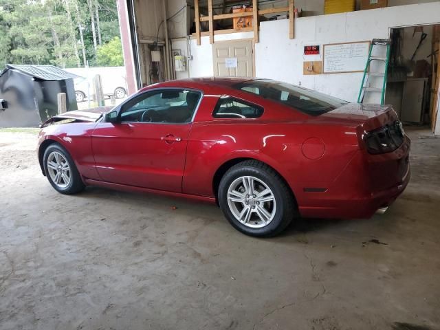 2014 Ford Mustang