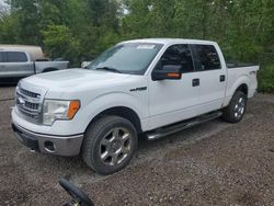 Ford salvage cars for sale: 2014 Ford F150 Supercrew