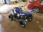2025 Yamaha YFM110 Raptor