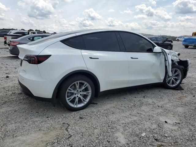 2020 Tesla Model Y