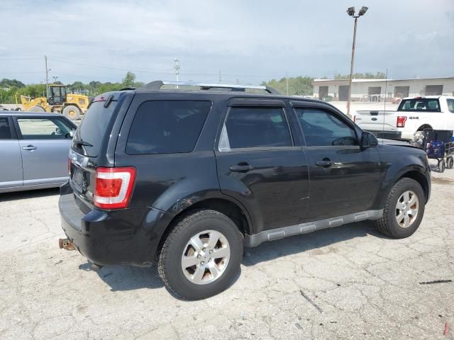 2011 Ford Escape Limited