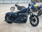 2020 Harley-Davidson XL883 N