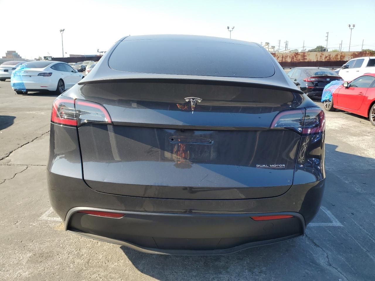2025 Tesla Model y
