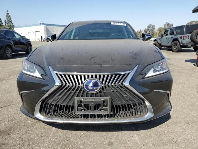 2021 Lexus Es 300h