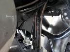 2024 Harley-Davidson Fltrxstse