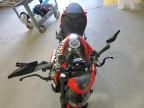 2023 Ducati Monster