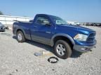 2010 Dodge RAM 1500