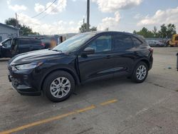 Ford Escape act salvage cars for sale: 2025 Ford Escape Active