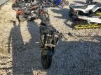 2024 Cf Moto 800NK
