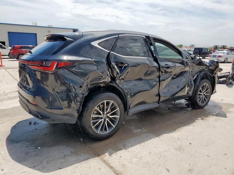 2024 Lexus NX 350H Base