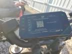 2024 Cf Moto 800NK