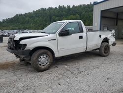 Ford F150 salvage cars for sale: 2013 Ford F150