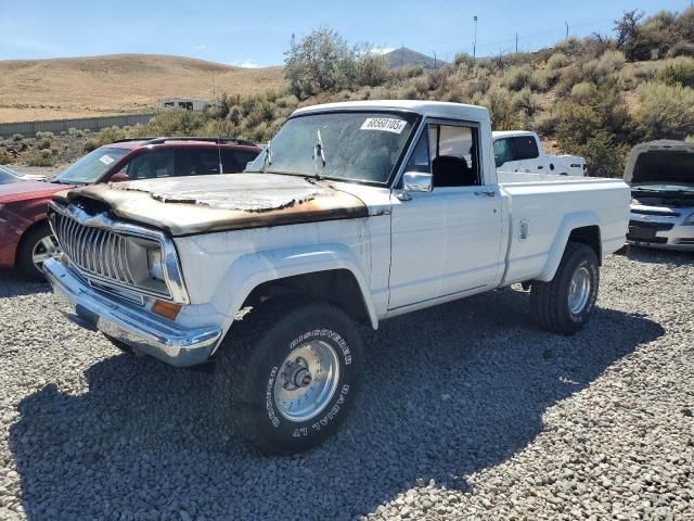 1984 Jeep Jeep Truck J10