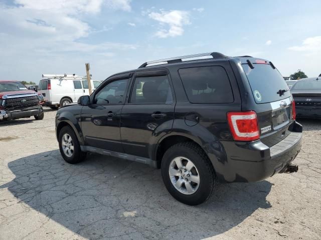 2011 Ford Escape Limited