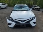 2020 Toyota Camry XLE