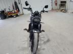 2025 Kawasaki EN650 D
