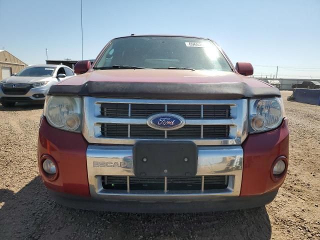 2011 Ford Escape Limited