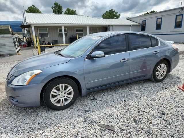 2010 Nissan Altima Base