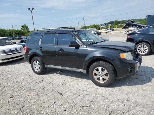 2011 Ford Escape Limited