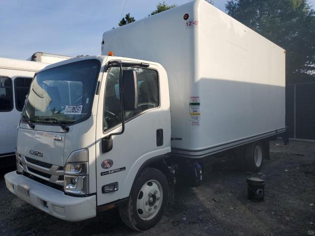 2024 Isuzu Npr hd