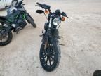 2020 Harley-Davidson XL883 N