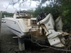 1997 Wells Cargo 1997 Wellcraft 240 Coastal-Boats