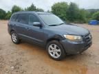 2007 Hyundai Santa FE SE