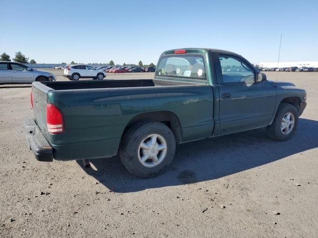 2000 Dodge Dakota