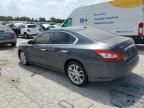 2009 Nissan Maxima s