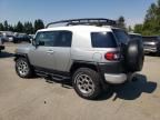 2012 Toyota Fj Cruiser