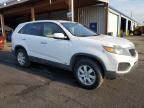 2011 KIA Sorento Base