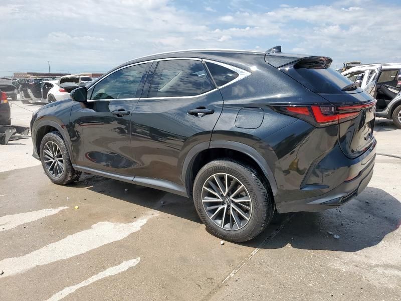 2024 Lexus NX 350H Base