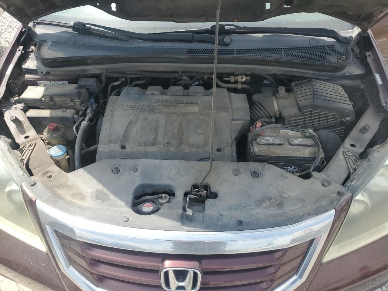2009 Honda Odyssey exl