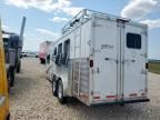 2010 Exxiss Horse