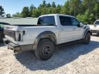 2017 Ford F150 Raptor