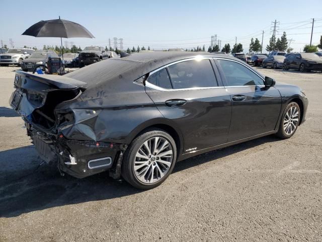 2021 Lexus Es 300h