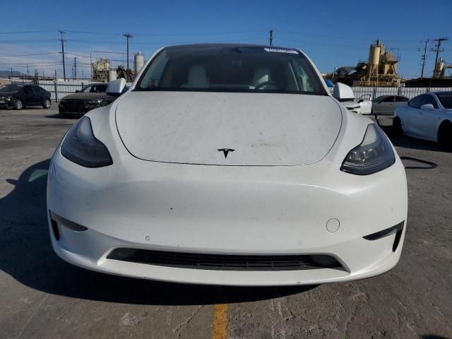 2020 Tesla Model Y