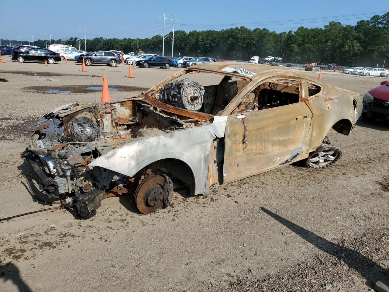 2019 Ford Mustang gt