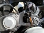 2025 Kawasaki EX500 H
