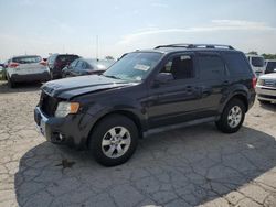 Ford Escape salvage cars for sale: 2011 Ford Escape Limited